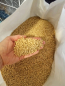 Preview: Super Benek Corn Cat Natural 5kg