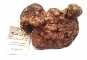 Torgas Kauwurzel S