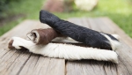 Getr. Pferdekopfhaut mit Fell 500 g