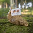 Torgas Kauwurzel L